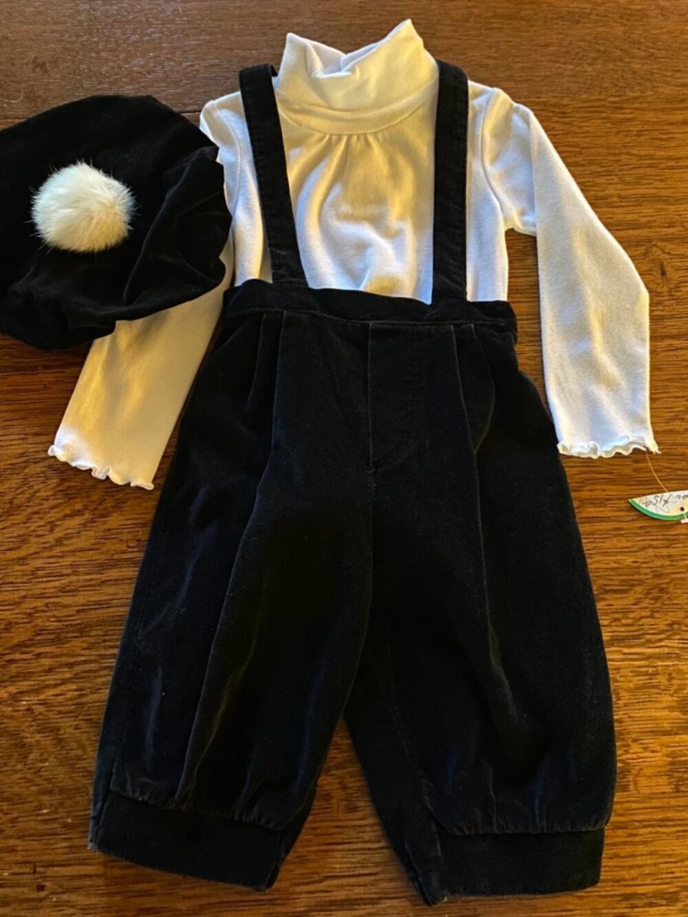 Vintage Velvet Toddler Outfit: Knickers, Beret & Turtleneck (2T)